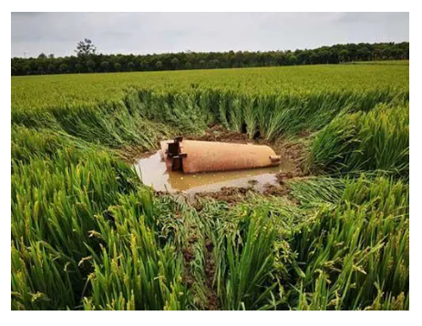 1600234219391161.png image.png